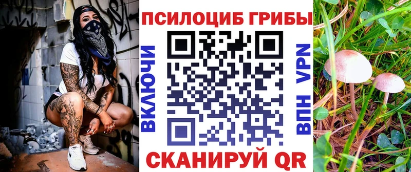 даркнет сайт  Нижняя Салда  Псилоцибиновые грибы Magic Shrooms 